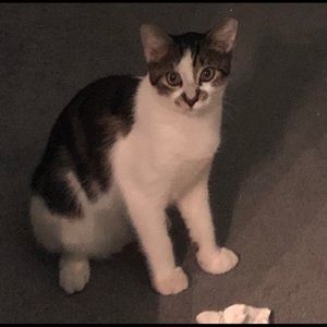 Meet your Posher, Cindy